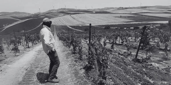 Aldo Viola - Sicily