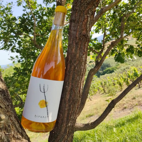 Bifaro Le quattro volte orange wine
