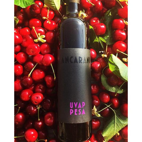 "Uvappesa" Ancarani 2013 - Viticolo