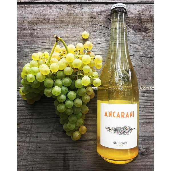 "Indigeno" Ancarani 2019 - Viticolo