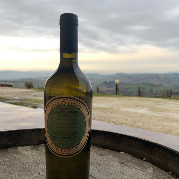 Verdicchio classico superiore "Anno Uno" DOC 2018 Col Di Corte - Viticolo