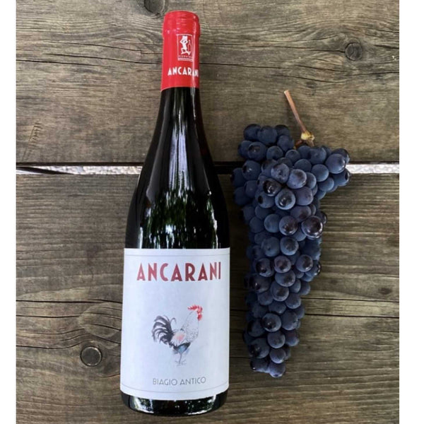 Sangiovese di Romagna Superiore "Biagio Antico" DOC 2020 Ancarani - Viticolo