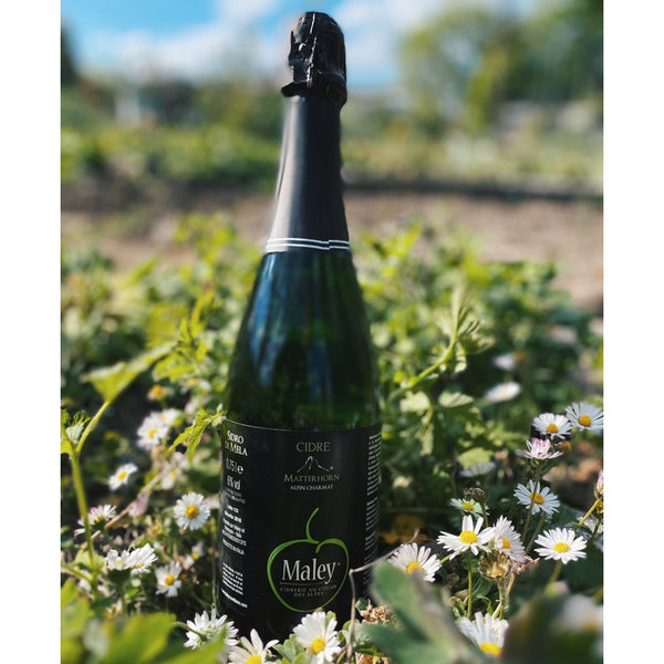 Maley, Cidre Matterhorn 2016 - Viticolo