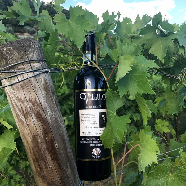 Valpolicella Classico Superiore "Il Velluto" DOC 2009 Meroni - Viticolo