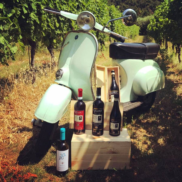 Valpolicella Classico Superiore "Il Velluto" DOC 2009 Meroni - Viticolo