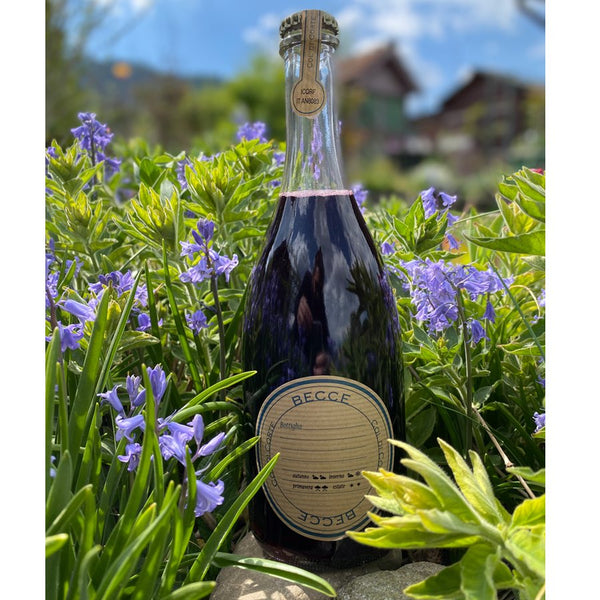 "Becce" Red Sparkling Col di Corte - Viticolo