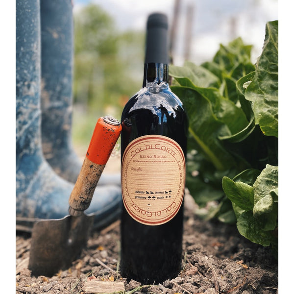 "Esino Rosso" DOC 2017 Col Di Corte - Viticolo