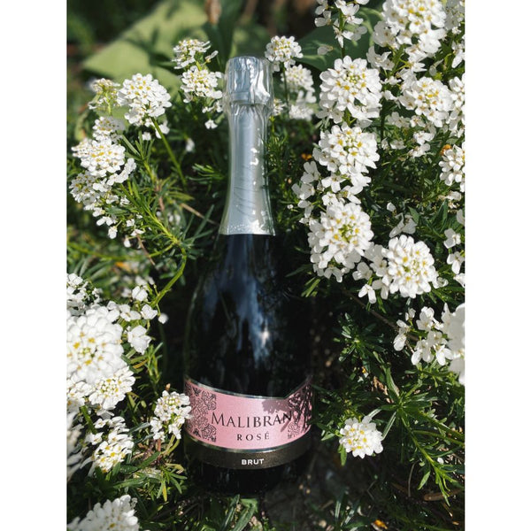 rose vino spumante brut malibran flowers