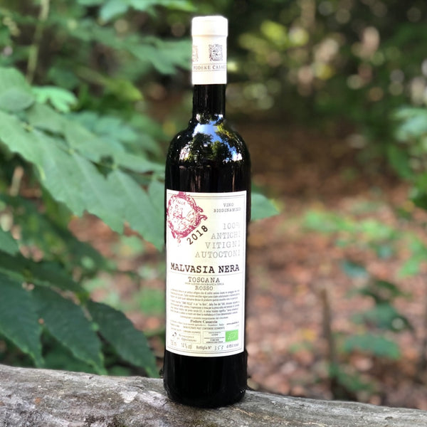 Podere Casaccia Malvasia Nera Red Wine