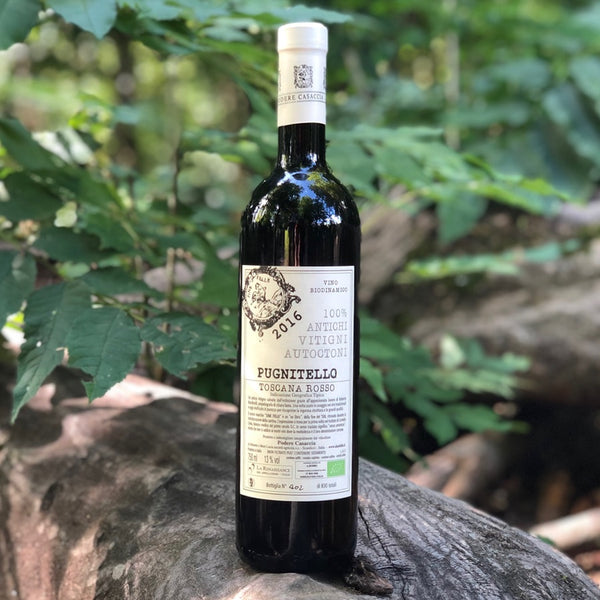 Podere Casaccia Pugnitello Red Wine