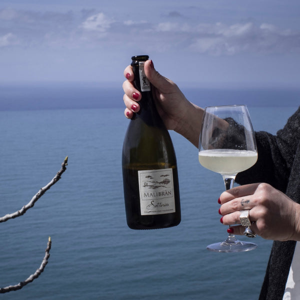 sottoriva colfondo colli trevigiani glera igt malibran