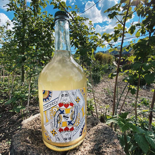 "Confondo" IGT 2019 Buccianera - Viticolo