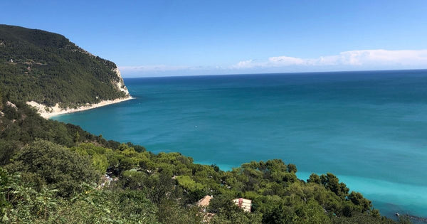 Meet Marche: A hidden treasure of nature, history and wine