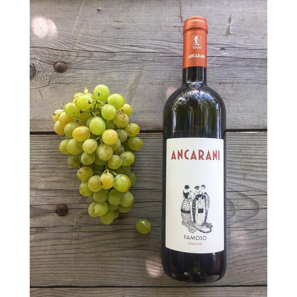 Bottle with grape famoso Ancarani Winery