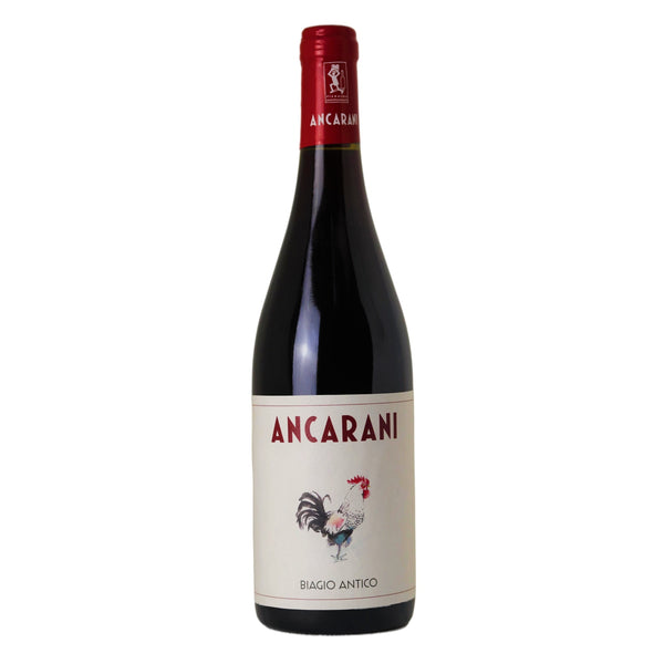 Sangiovese di Romagna Superiore "Biagio Antico" DOC 2020 Ancarani - Viticolo