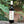 Load image into Gallery viewer, Podere Casaccia Malvasia Nera Red Wine

